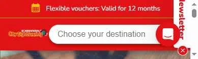 Verification screenshot for 20% Off Storewide at City Sightseeing - 14d ago