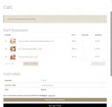CH10 coupon verification screenshot