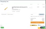 CDN10 coupon verification screenshot