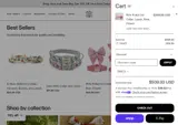 FAN25 coupon verification screenshot