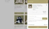 Deluxe Decor coupon verification screenshot