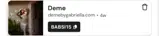 BABSI15 coupon verification screenshot