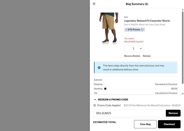 DXL checkout page showing DXL promo code box | Screenshot taken by SimplyCodes community member on Aug 15, 2025