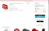 Detroit Red Wings Shop coupon verification screenshot