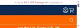 Detroit Tigers coupon verification screenshot