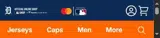 Detroit Tigers coupon verification screenshot