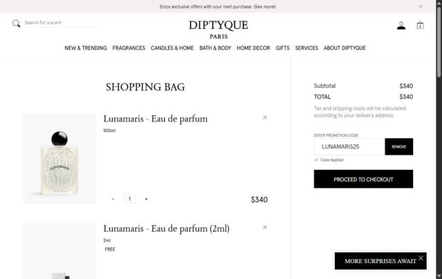 Diptyque Paris checkout page showing Diptyque Paris promo code box | Screenshot taken by SimplyCodes community member on Oct 5, 2025