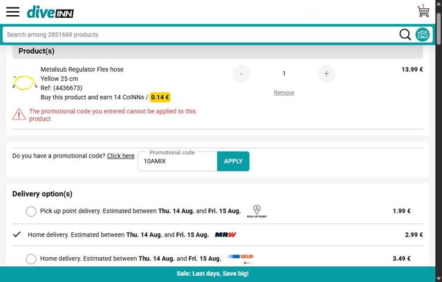 Diveinn checkout page showing Diveinn promo code box | Screenshot taken by SimplyCodes community member on Aug 13, 2025