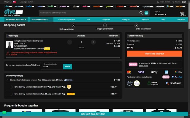 Diveinn checkout page showing Diveinn promo code box | Screenshot taken by SimplyCodes community member on Aug 22, 2025