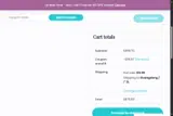 ANNA69 coupon verification screenshot