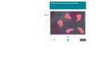 promotion coupon verification screenshot