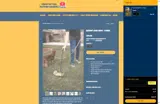 Doodoocom23 coupon verification screenshot