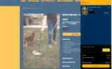 BARGAINUP coupon verification screenshot