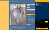 MEGATOP coupon verification screenshot