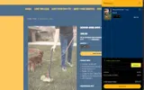 HOTDEALGOLD coupon verification screenshot