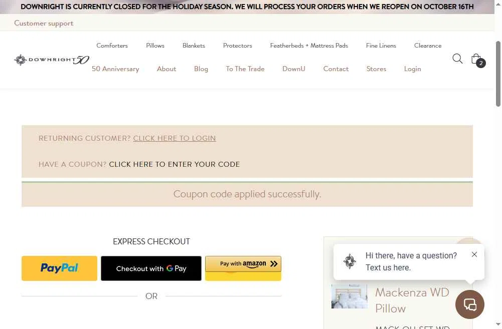 Downright checkout page showing Downright promo code box | Screenshot taken by SimplyCodes community member on Oct 15, 2025