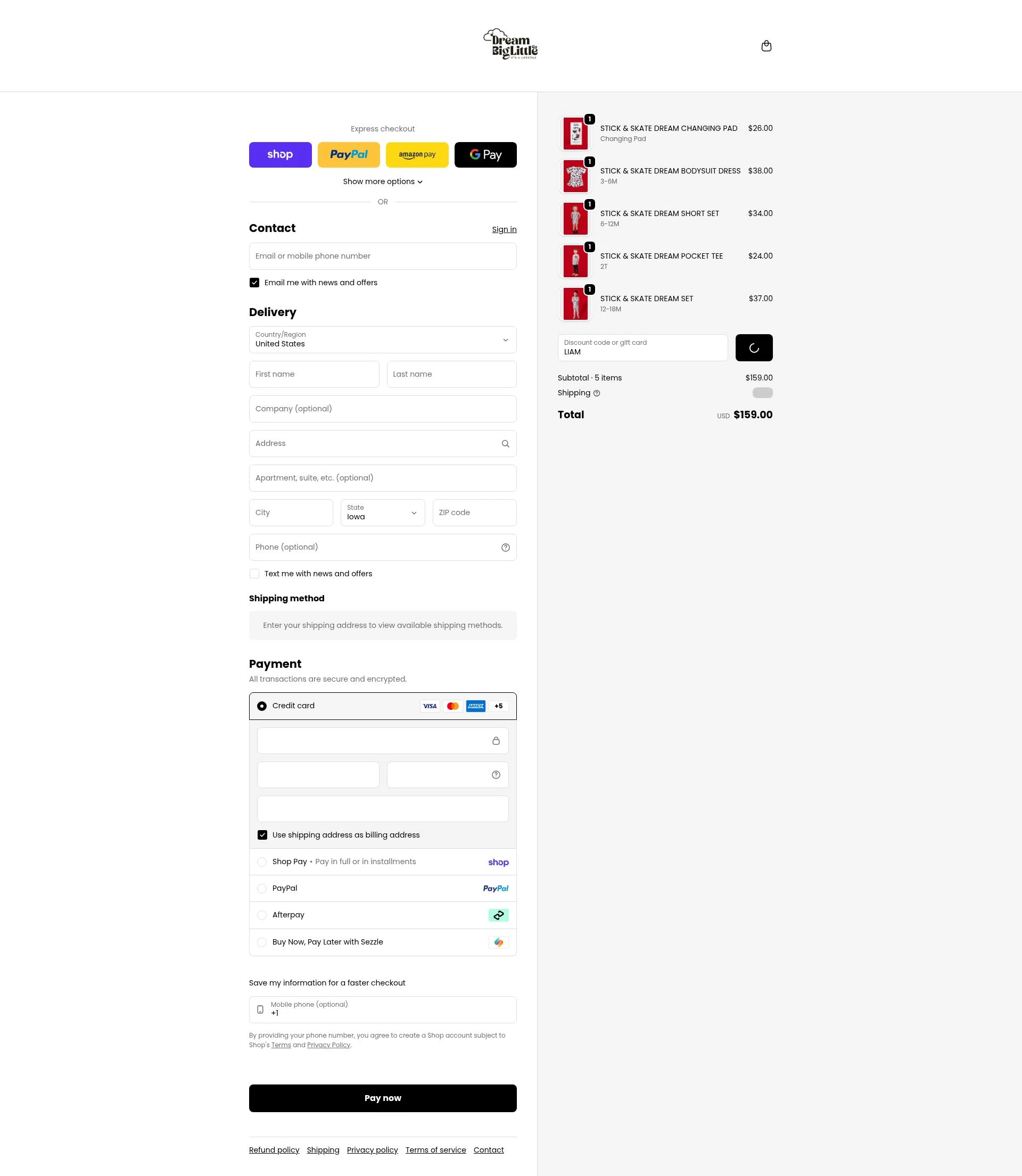 Dream Big Little Co. checkout page showing Dream Big Little Co. discount code box | Screenshot taken by SimplyCodes community member on Feb 11, 2026