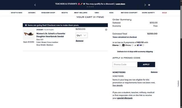Dr. Scholls Shoes checkout page showing Dr. Scholls Shoes discount code box | Screenshot taken by SimplyCodes community member on Aug 29, 2025