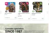Dutch Passion coupon verification screenshot