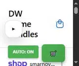SPRING coupon verification screenshot
