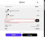 Dylan Clothing coupon verification screenshot