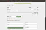 Dyn coupon verification screenshot