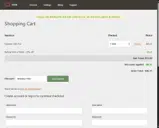 Dyn coupon verification screenshot