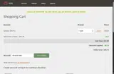 Dyn coupon verification screenshot
