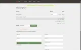Dyn coupon verification screenshot
