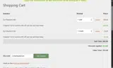 Dyn coupon verification screenshot