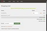 Dyn coupon verification screenshot