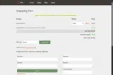 Dyn coupon verification screenshot