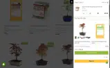 VETERANS25 coupon verification screenshot