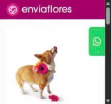 solecito12 coupon verification screenshot