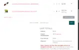 FPSSPIN10WIN coupon verification screenshot