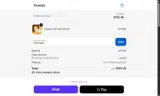 Fireside Record coupon verification screenshot
