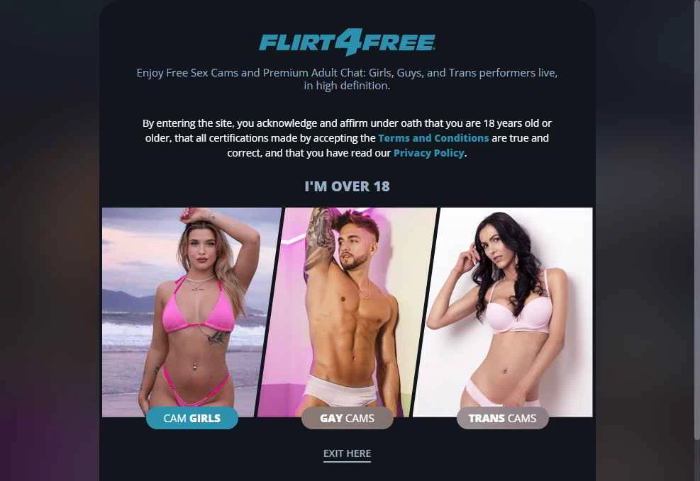 Flirt4Free checkout page showing Flirt4Free promo code box | Screenshot taken by SimplyCodes community member on Jan 24, 2026