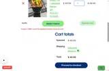 Raffle coupon verification screenshot