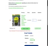 Halloween15% coupon verification screenshot