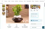 FlowerAura coupon verification screenshot