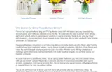 SPRING20 coupon verification screenshot