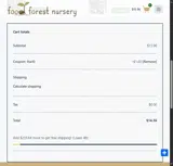 Lisa10 coupon verification screenshot