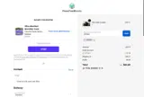 SPRING coupon verification screenshot