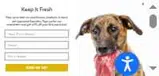 Fresh Is Best coupon verification screenshot