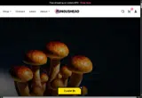 WEREBACK15 coupon verification screenshot