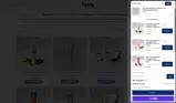 Fygg coupon verification screenshot