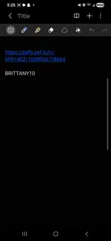 BRITTANY10 coupon verification screenshot