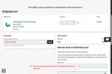 SAFETYGLASS200 coupon verification screenshot