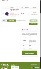 30fall coupon verification screenshot