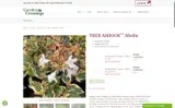 GRN25 coupon verification screenshot